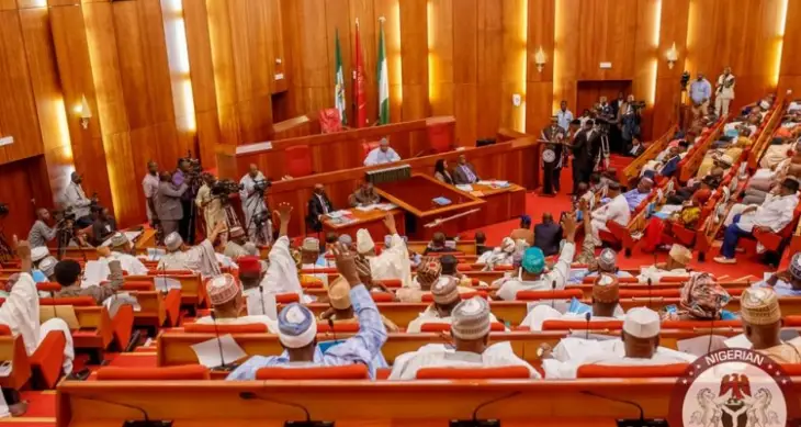 NANS commends NASS for granting full autonomy to LGAs