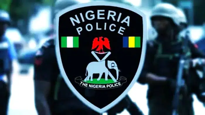 Court upholds Nigerians’ Right to Film police on Duty