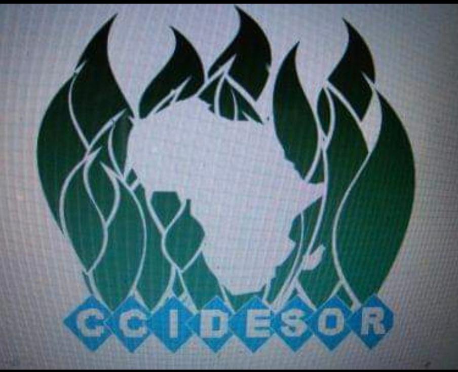 CCIDESOR calls for collective efforts to rescue comatose LG system