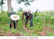 Community lauds IFAD – VCDP for transforming life of Enugu rural farmers