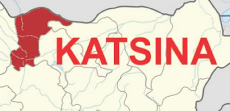 Katsina police nab 26 suspects in security raid